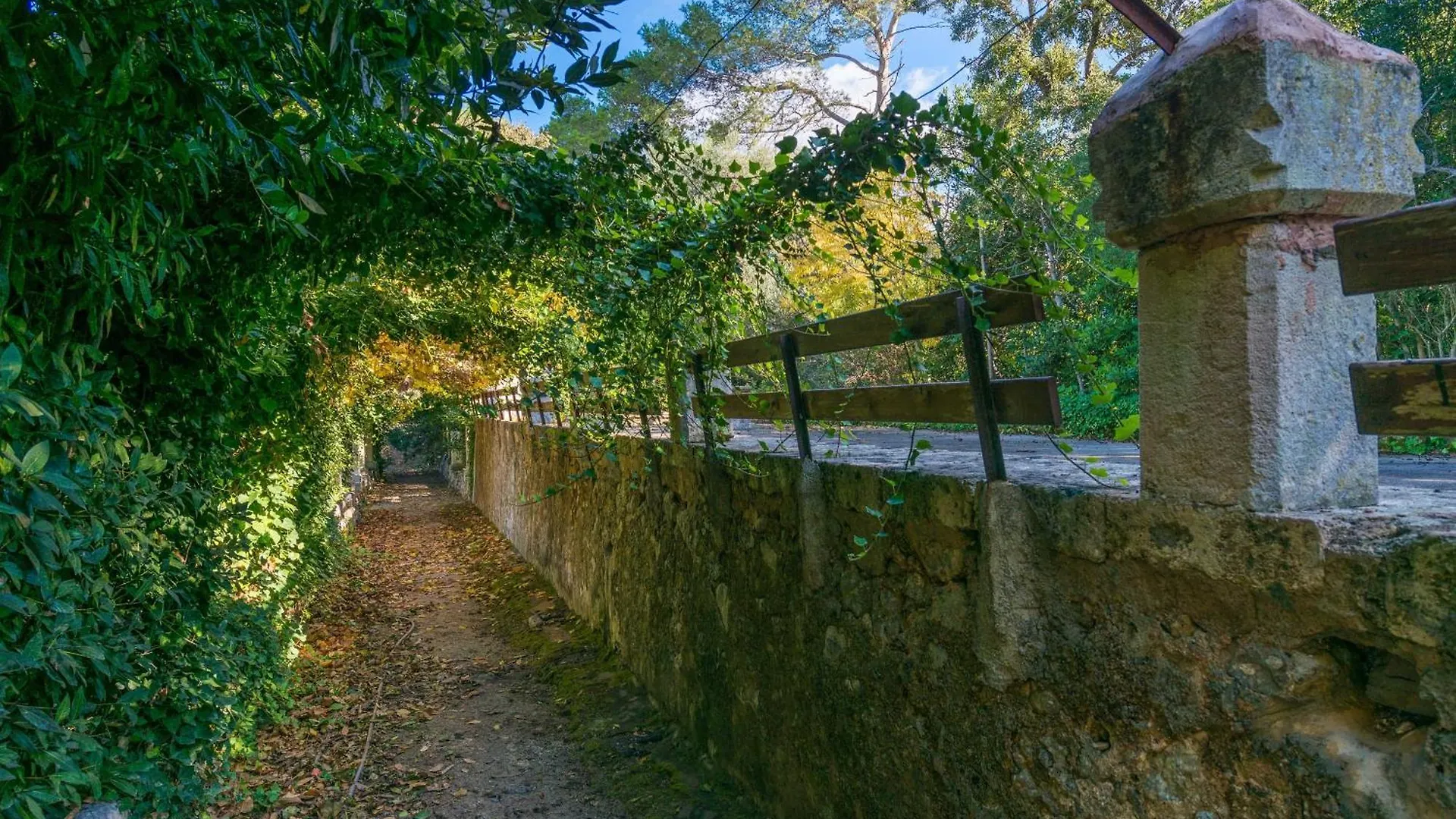 Son Vivot - Nº 5 Duplex Apto - Adults Only Búger Apartament